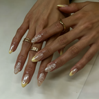 Cream Yellow Shell