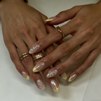 Cream Yellow Shell