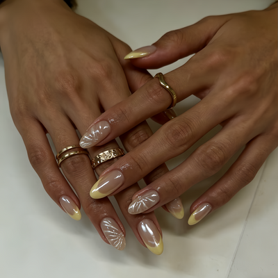 Cream Yellow Shell