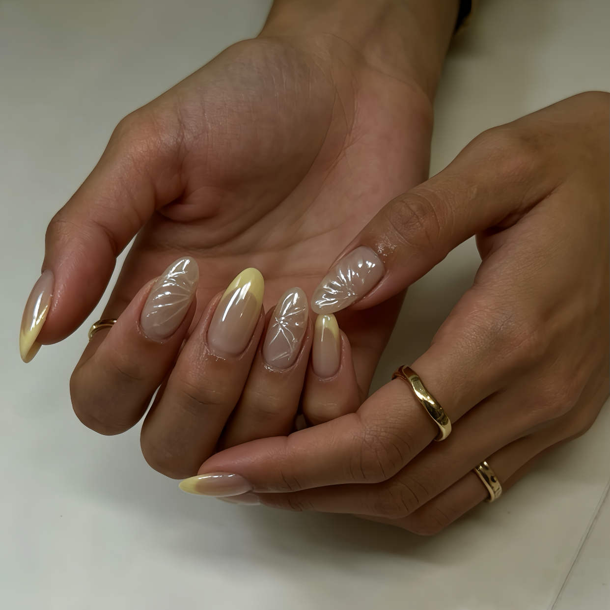 Cream Yellow Shell