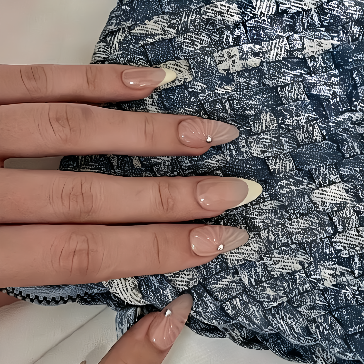 Cream Yellow Shell
